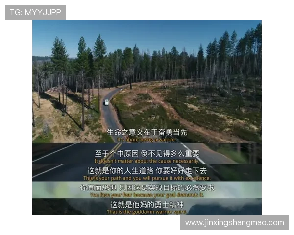 攀岩与人生的交织：陈丽的深度对话与心路历程